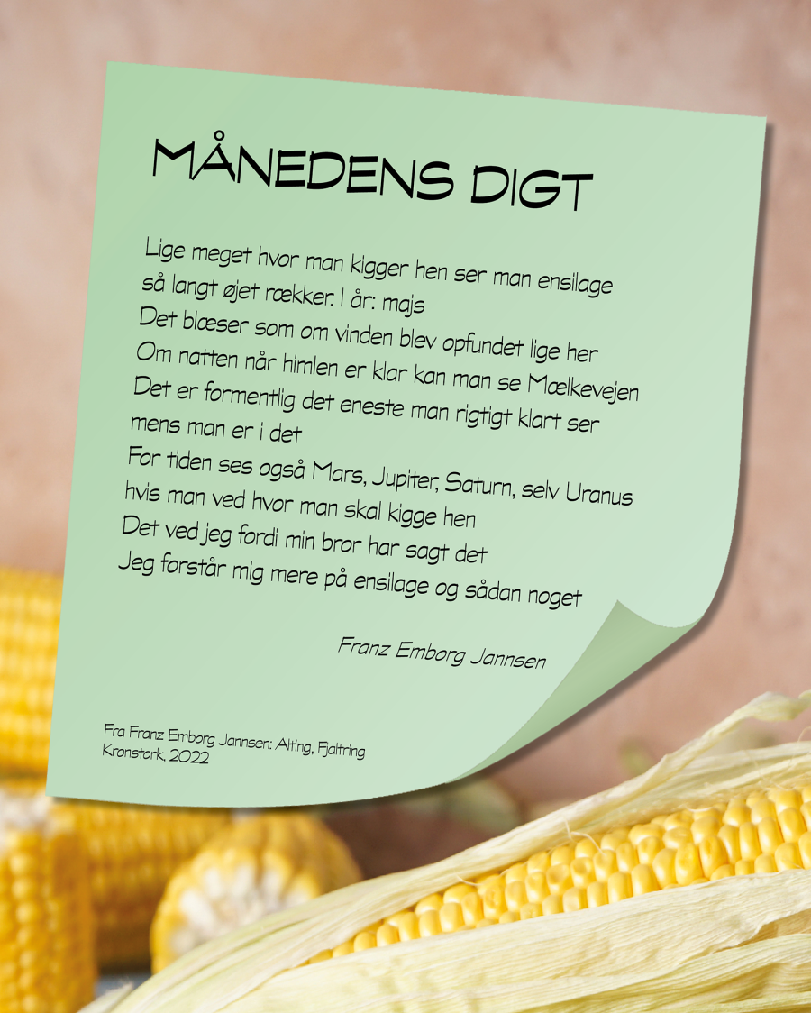 Plakat med månedens digt i august og modne majskolber