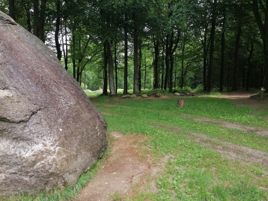 Den store sten i Tirslund Plantage